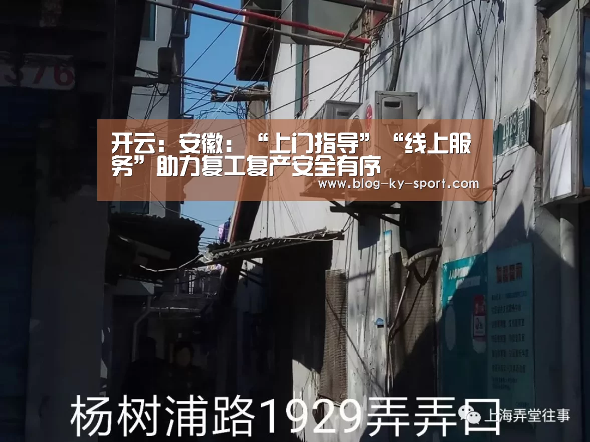 开云:安徽:“上门指导”“线上服务”助力复工复产安全有序(图2) 开云集团