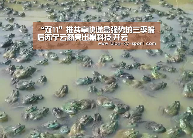 “双11”推共享快递盒强势的三季报后苏宁云商亮出黑科技|开云