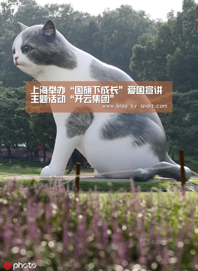 上海举办“国旗下成长”爱国宣讲主题活动“开云集团”(图1) 开云