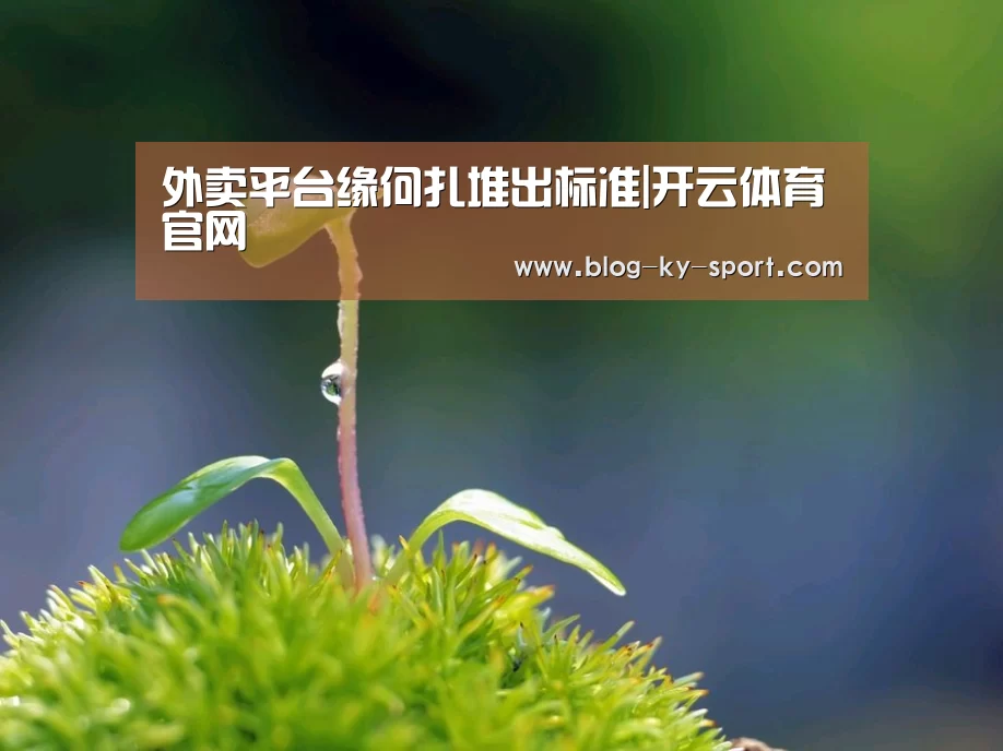开云集团